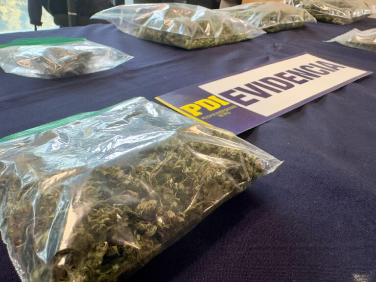 Clan familiar es desarticulado por tráfico de droga en Longaví