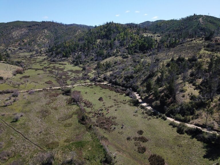 Taller gratuito entregará herramientas agronómicas contra el cambio climático en Villa Alegre