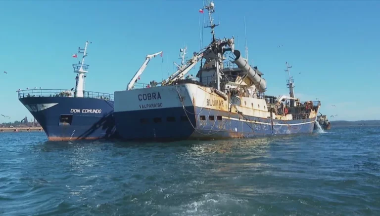 Caso Bruma: Fiscal a cargo confirma que parte de la tripulación del barco “Cobra” están imputados