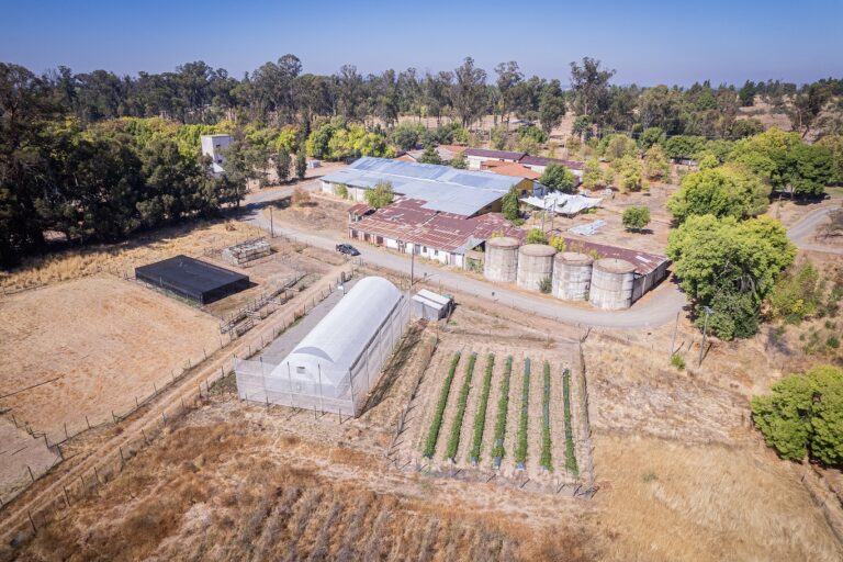 100 años de legado agropecuario: INIA Cauquenes marca su centenario con actividades durante todo el 2025