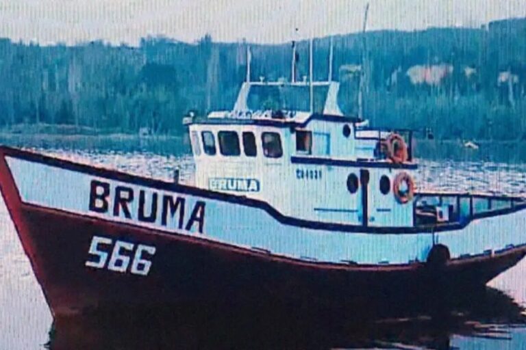Bruma
