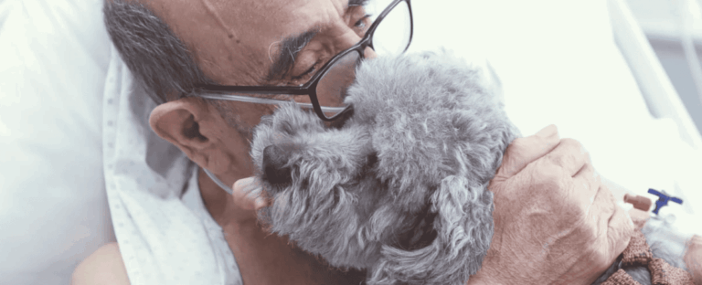 Un emotivo reencuentro: pacientes críticos podrán recibir a sus mascotas en el Hospital Clínico de la U. de Chile