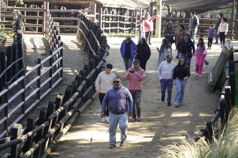 rodeo