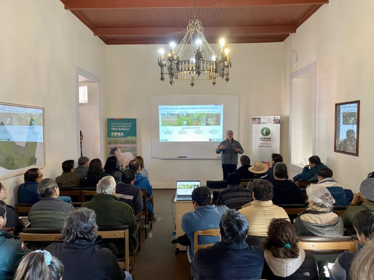 Impulsan estrategia hídrica sustentable para el sector silvoagropecuario: buscan cuidar suelo y agua del Maule