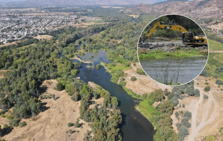 Seremi de Medio Ambiente deberá pronunciarse sobre extracción de áridos cerca del Humedal Urbano de Talca