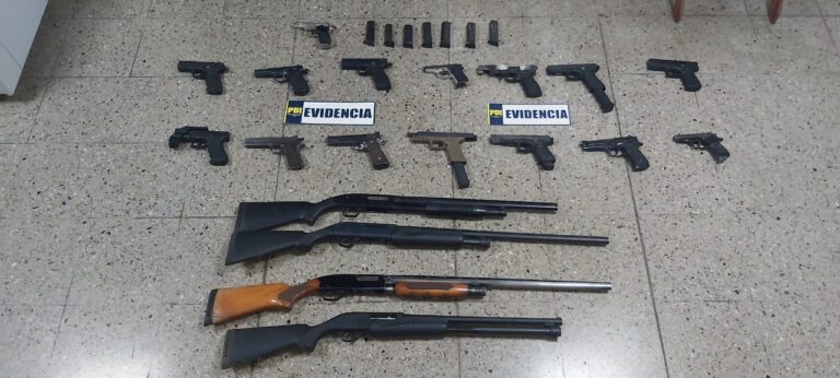 Banda narco cae en Talca con armas automáticas y 80 kg de droga