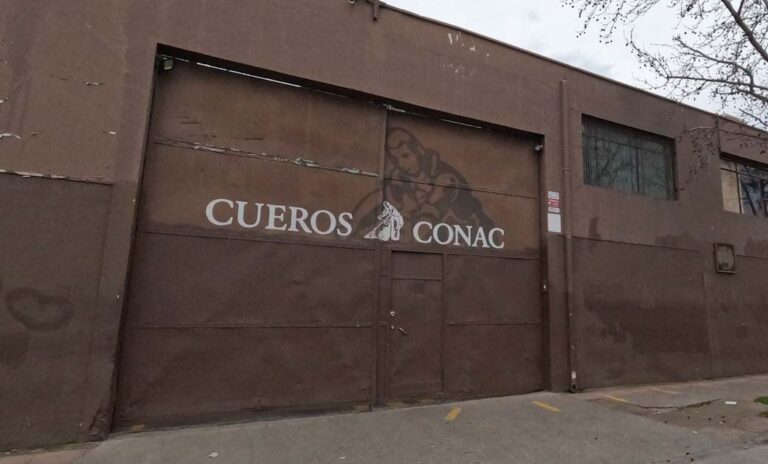 curtiembre