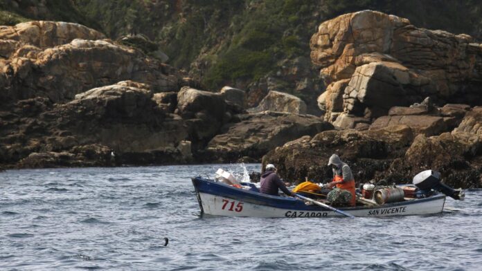 pescadores