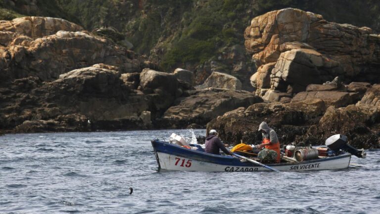 pescadores
