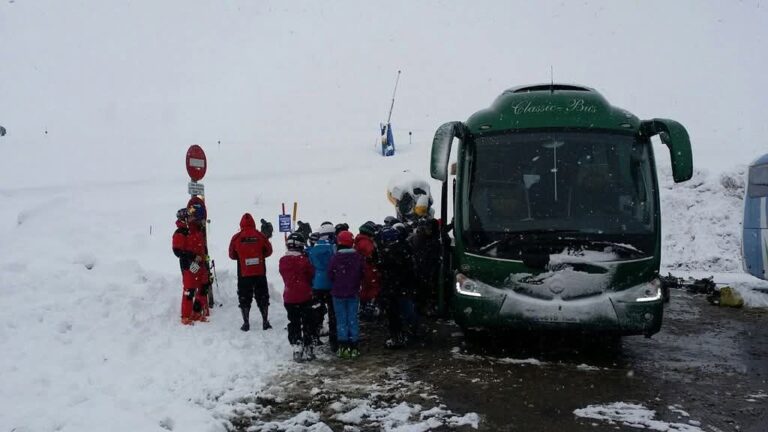 Carabineros rescata a pasajeros atrapados por panne de bus en Ruta Internacional Pehuenche: soportaban -12 °C