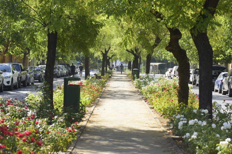 Tu opinión cuenta: Municipalidad de Talca reactiva consulta ciudadana por nueva Diagonal