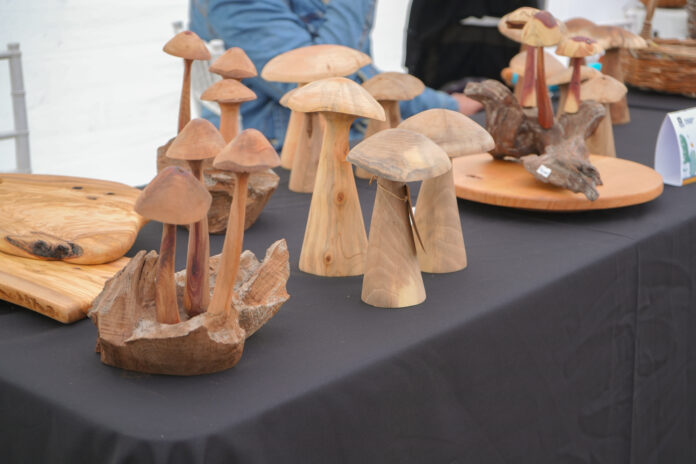 fungi