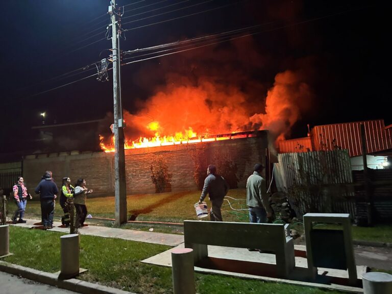 Tragedia en Cauquenes: incendio destruye casa y mueren 13 perros rescatados