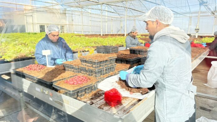 agricultores