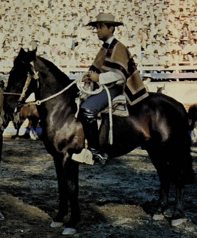 Ferochi despide a Manuel Fuentes, ícono del rodeo nacional