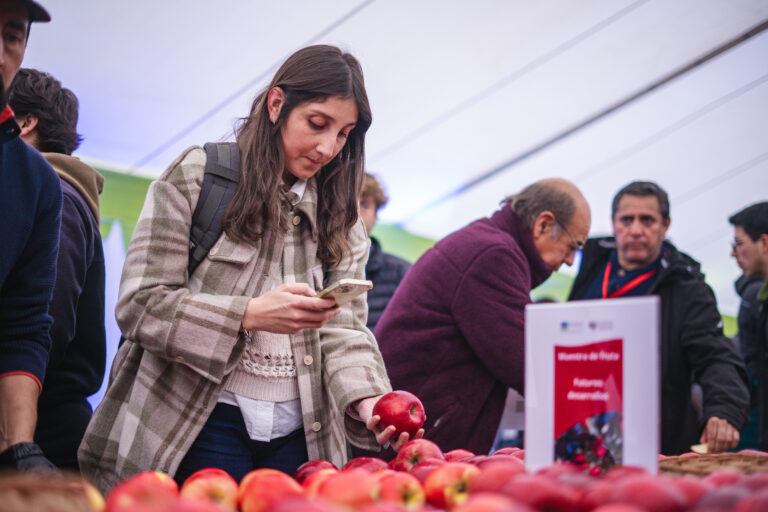 Chile refuerza exportaciones de manzana y consolida mercado en Latinoamérica