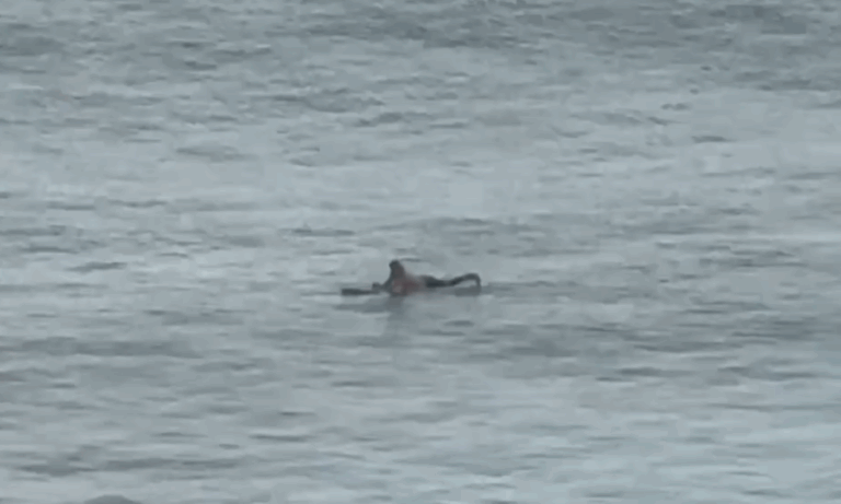 (VIDEO) En plena alerta: graban a surfista esperando olas de tsunami en Hawái