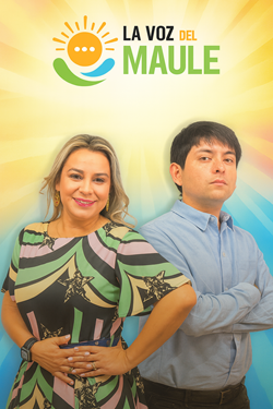 Grafica Web La Voz del Maule