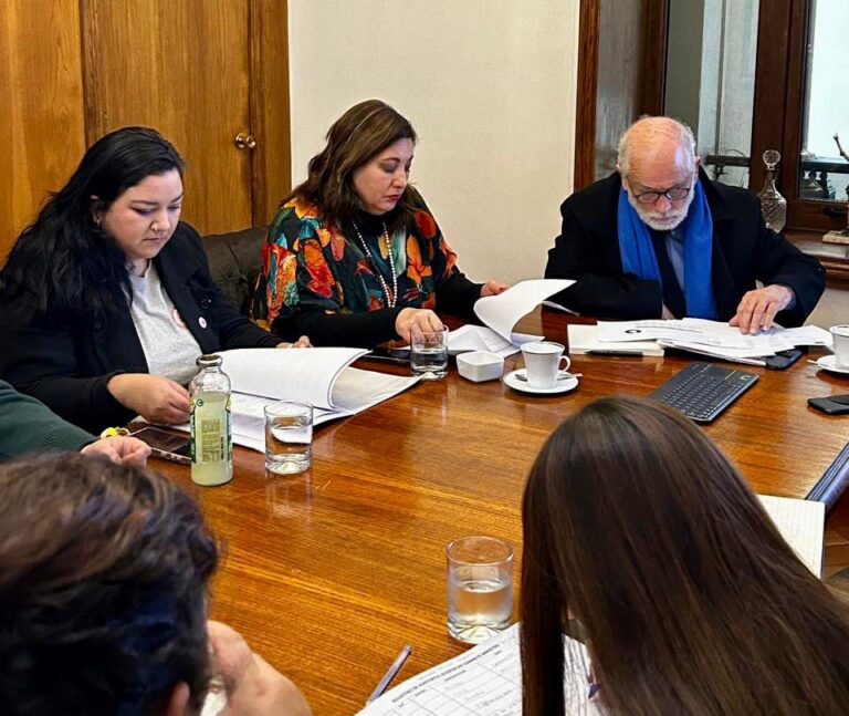 Senadora Vodanovic y  agrupación Séptima en la Calle gestionan soluciones habitacionales en el Minvu para viviendas en el Maule