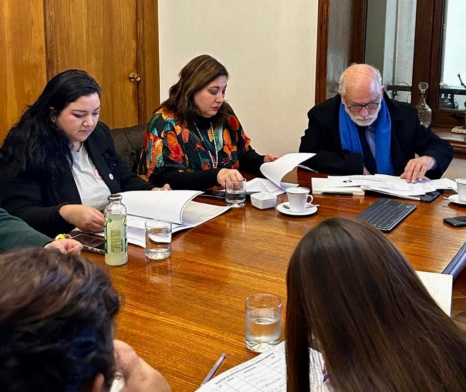 Senadora Vodanovic y agrupación Séptima en la Calle gestionan soluciones habitacionales en el Minvu