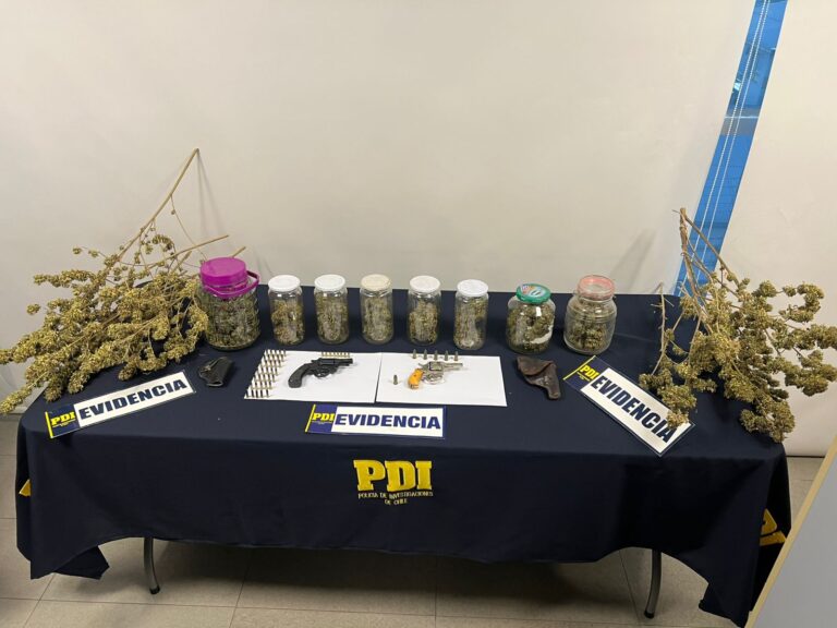 Fiscalía formaliza a sujeto por cultivo indoor de marihuana y tenencia de armas en Linares
