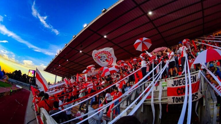 Curicó se tiñe de rojo y blanco con proyecto ciudadano que busca instalar banderas en la ciudad