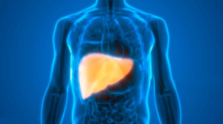 Académica advierte posible pandemia silenciosa por daño hepático y cardiopatías