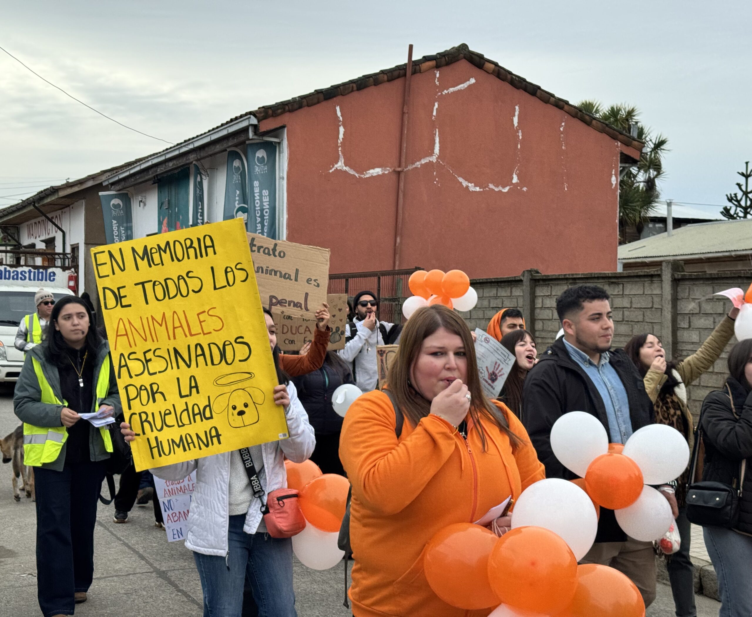 Marcha en Chanco por animales abandonados: exigen fiscalización