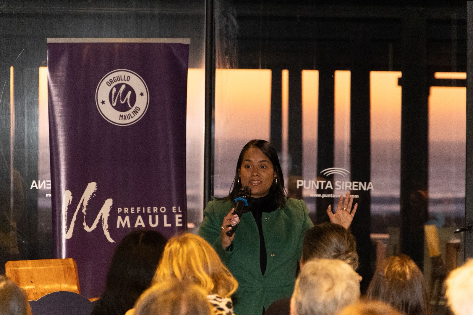 Masterclass Internacional de Marketing en Curanipe