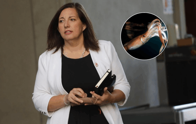 Senadora Vodanovic alza la voz ante eventual declaración de la Jibia como especie altamente migratoria