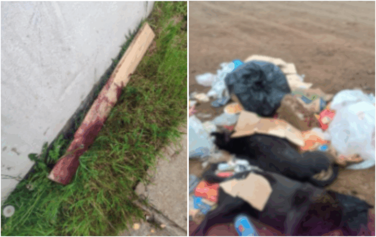 Vecinos de Talca denuncian brutal maltrato animal: sujeto mató a tres perros con un bate