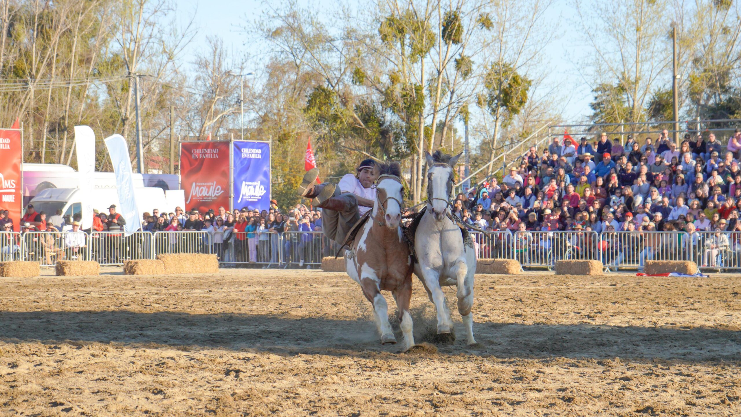 Chilenidad en Familia 2025 en Maule: tradiciones y cultura