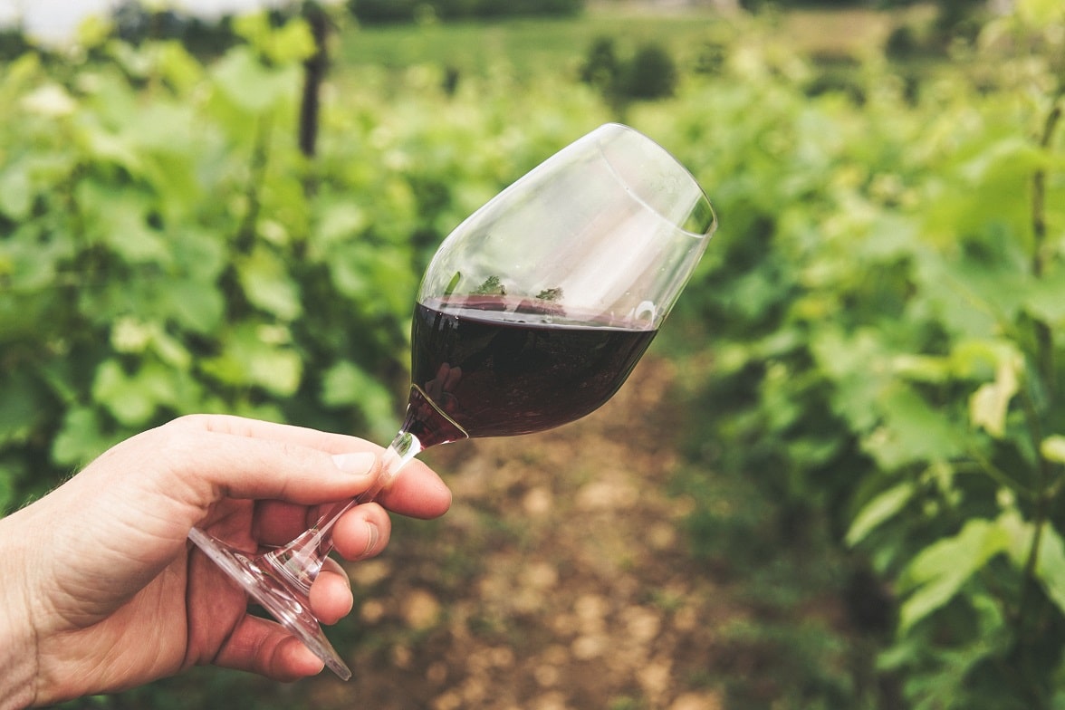 Vichuquén celebra vino y cultura en fin de semana patrio