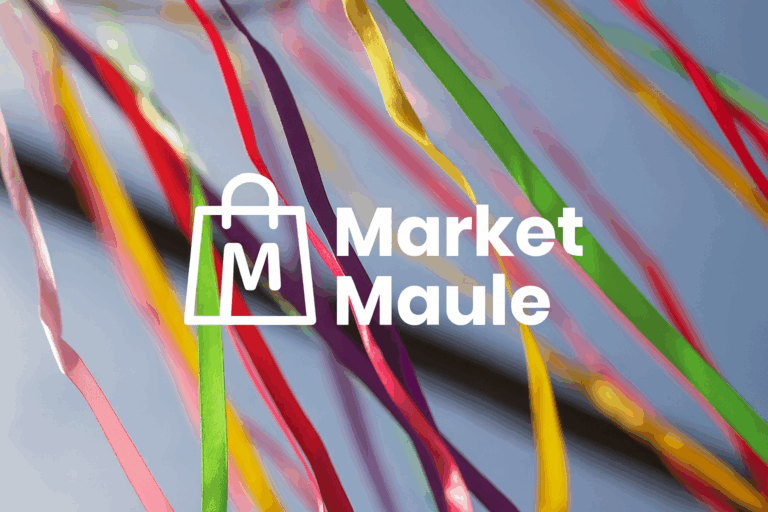 Expo Market Maule brilló en Espacio TUE Vivo