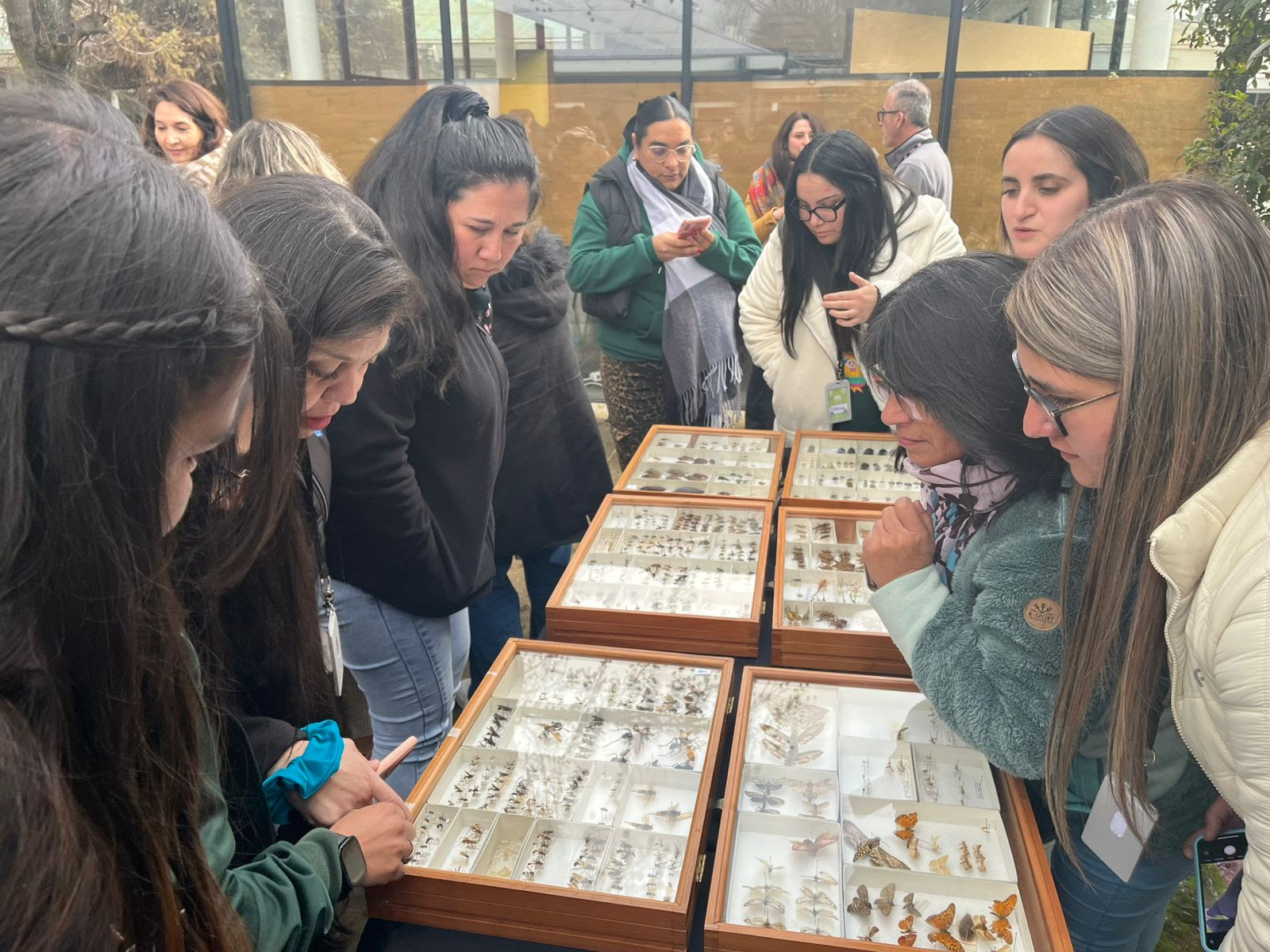 Capacitación sobre biodiversidad y metodologías activas en Talca