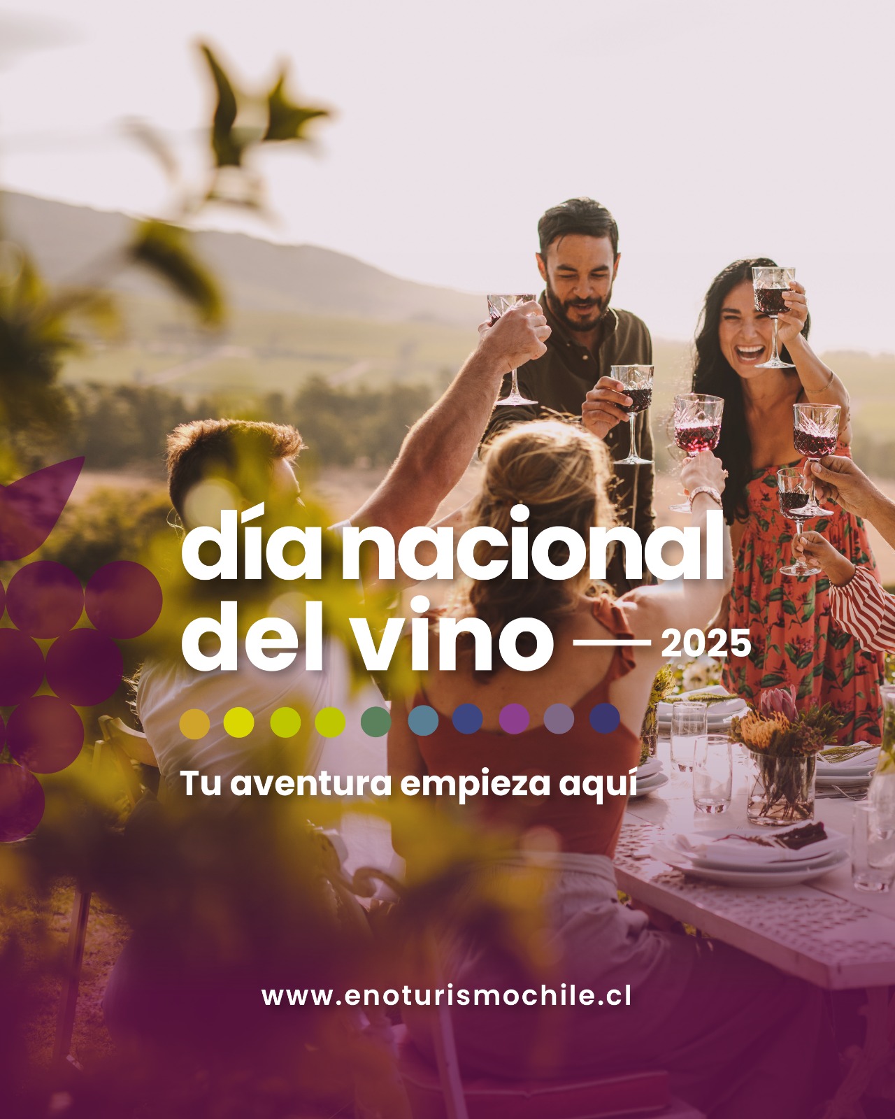 Chile conmemora 10 años del Día Nacional del Vino