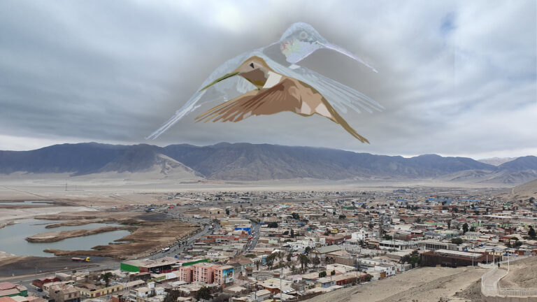 “El movimiento del colibrí” llega a Curicó y Talca: Teatro y ciencia se unen para hacer memoria a 10 años del aluvión de Atacama