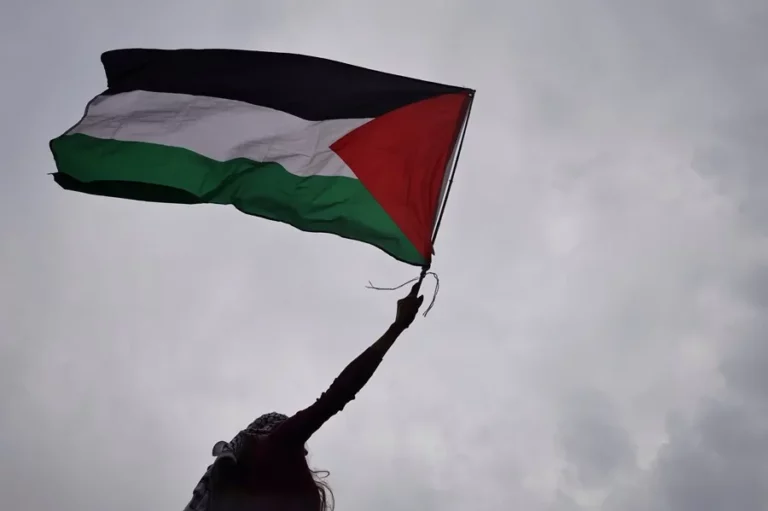 A favor del Estado Palestino: Un paso hacia la justicia y la paz