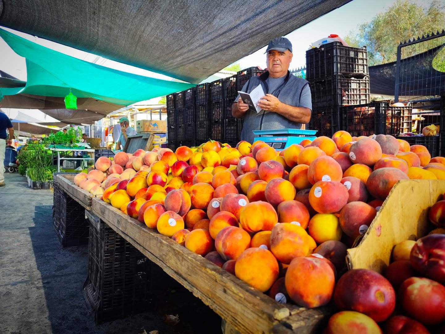 Feriantes de Parral se adjudican proyecto de Sercotec