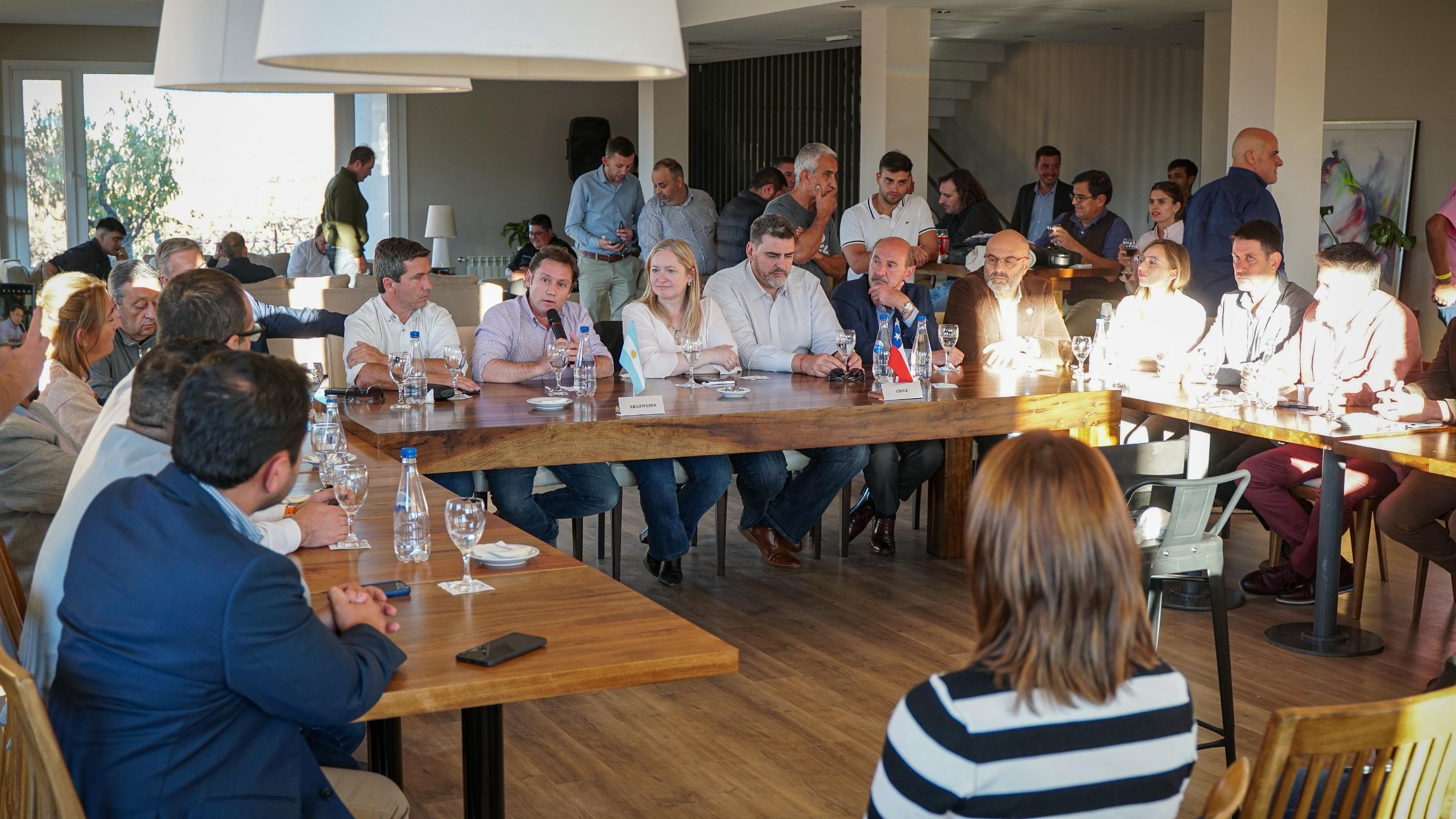 Comité de Integración 2025 une Chile y Argentina a través del Paso Pehuenche