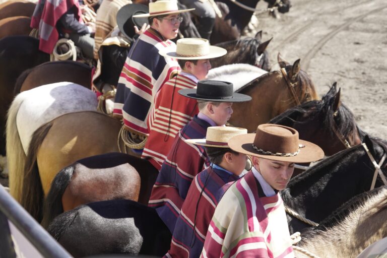 Federación del Rodeo Chileno: Fechas de Clasificatorios Zonales Escolares 2025