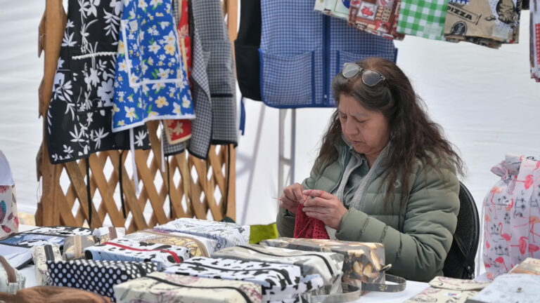 Emprendedores brillan en la IV Feria de Juntas de Vecinos del Sector Nororiente