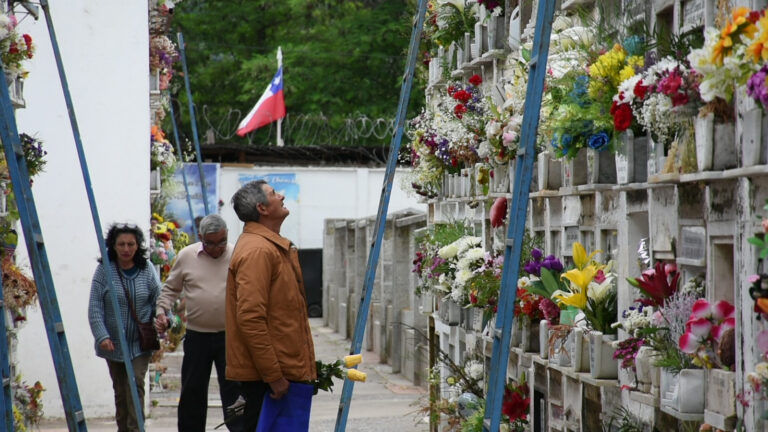Día de Todos los Santos: revisa los horarios de las misas de la Diócesis de Talca