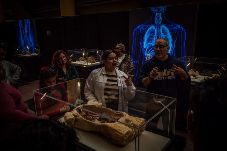 BODIES EVOLUTION: Cuerpos humanos reales llegan a Talca