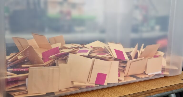 Guía esencial para votar informado y evitar contratiempos electorales