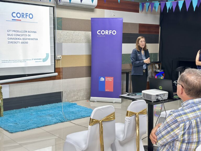 Ganadería regenerativa: Corfo inicia programa para mejorar la competitividad bovina en el Maule