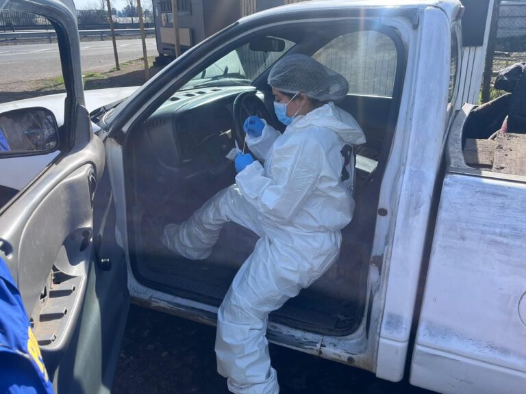 Cae banda que robaba cables en el Maule y otras regiones: incautan 22 toneladas de cobre destinadas a Corea del Sur