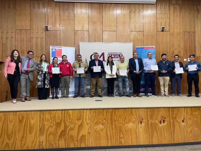 Más de treinta medios maulinos reciben financiamiento para fortalecer su labor informativa