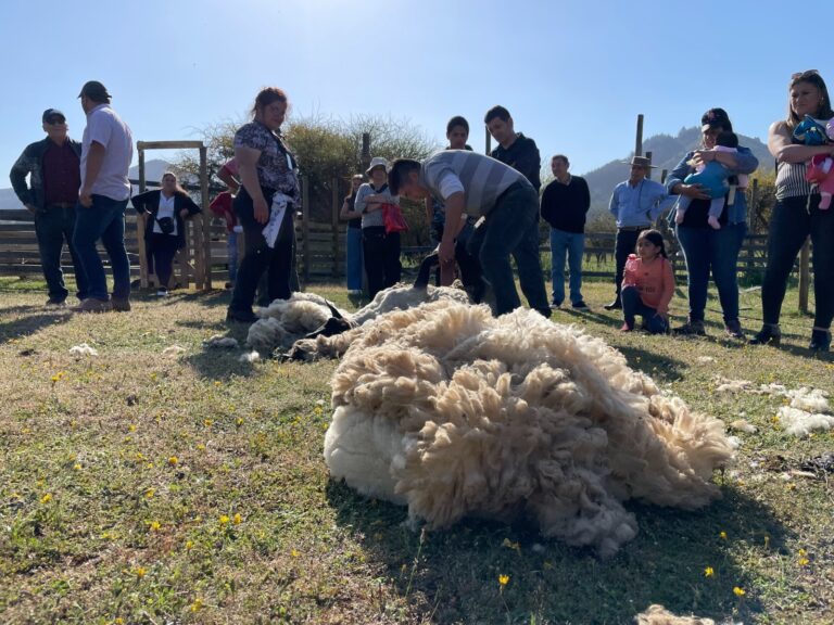 Gastronomía y folclore: Pelarco celebra la tradición campesina con la gran Fiesta de la Esquila