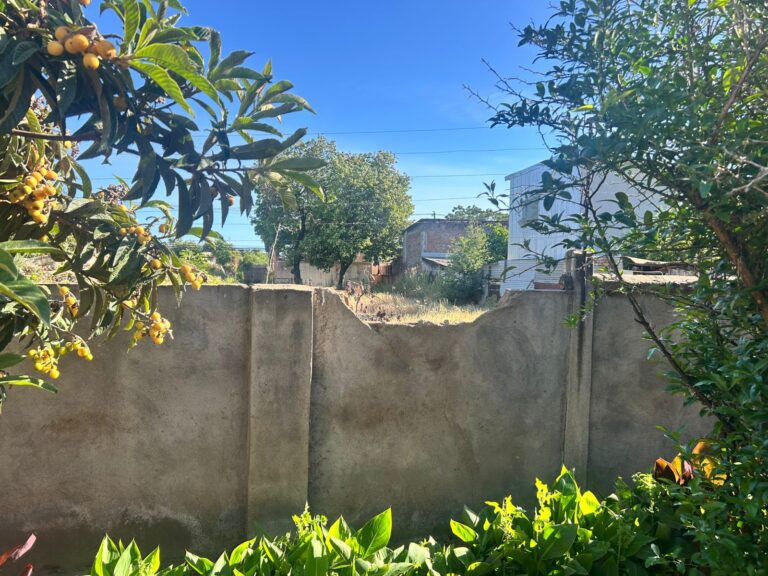 Robos reiterados golpean hogar de Fundación Las Rosas en Linares